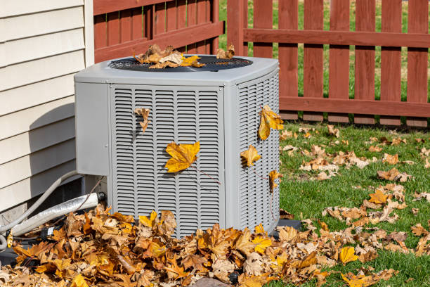 Best HVAC air duct cleaning  in Havana, FL